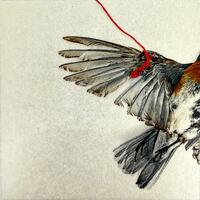 Kari Bishop-Wing, 12K gold leaf on vellum with UV finish