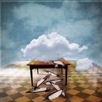 Cloudy Magpie