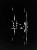 Reeds