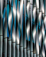 Rich Rock-Fin, archival pigment print