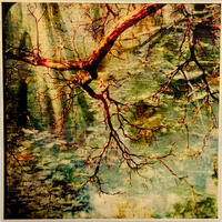 Maureen Ruddy Burkhart-12-21-12 or Winter Solstice