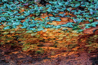 Smith Ditch