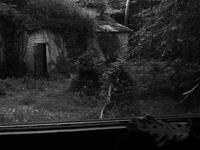 Haoda Song-Longing for the Wild, black and white digital photograph