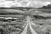 John Sullivan-Old Road on Rabbit Ears Pass