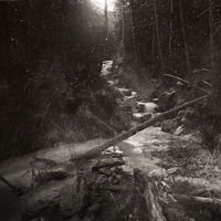 Thomas Carr's Places In-between 2016