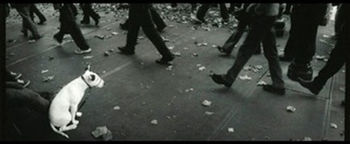 Juror's Picks, Small Works-Month of Photography