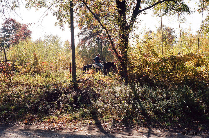 Two Horsemen (2010)
