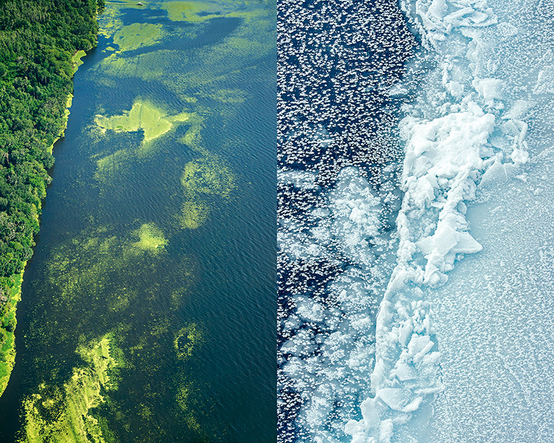 Lynne Buchanan's Antarctic Melting, Cyanobacter in Florida Water