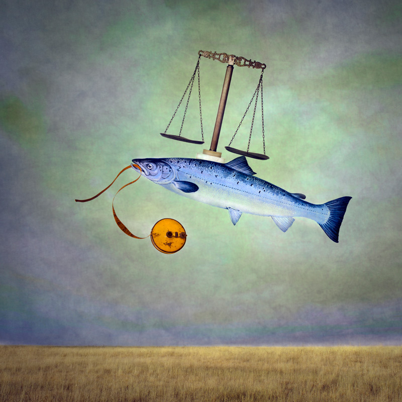 Balancing Salmon