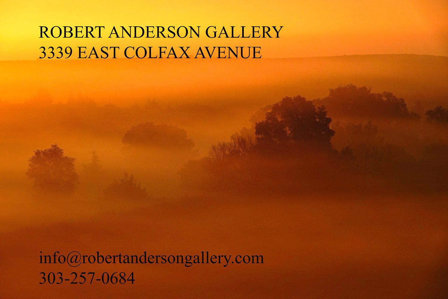 Robert Anderson Gallery