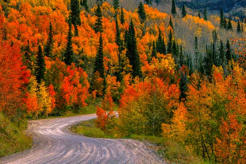 Dunkley Pass, CO