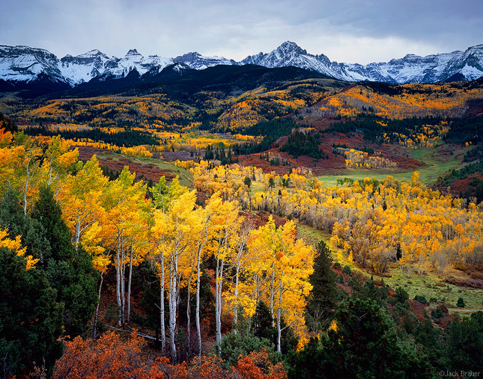 autumn vista of the Sneffels Range and its numerous golden aspen groves, Colorado - October